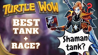 Turtle WoW's New Tank Combos! 1.17.2 Tower of Karazhan Patch!
