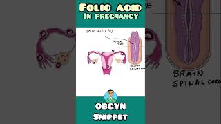 Folic Acid in Pregnancy | Obgyn | #shorts
