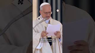 'Marriage is true love between man and woman’ – Pope Leo
