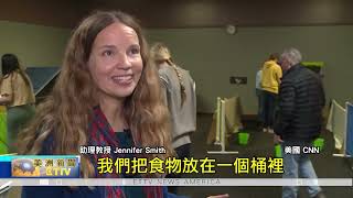 威州大學研究狗 設立動物行為課程/觀察狗對周遭環境 具備一定認知能力