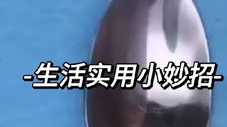 活了50年才知道的生活小技巧，千万别错过#生活小妙招#生活小技巧#生活小常识 #生活小技巧学会你就捡到宝了 #生活小妙招每日更新