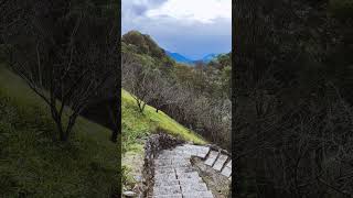 #南投 #信義鄉 #梅子夢工場 #花語小徑 #打卡熱點