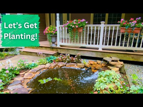 Moving Perennials Around | Front Walkway Landscaping Design Ideas