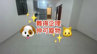 元朗村屋🏡企理600呎大2房（未核實）🌸貓狗寵物可住🎋No.570