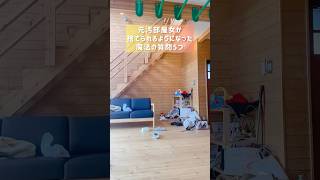 すぐ捨てられる断捨離の基準5選#ミニマリスト#断捨離#シンプルライフ