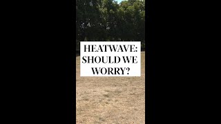 UK Heatwave: Climate Scientist issues stark warning