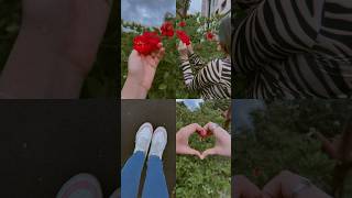 Aesthetic IG Story Ideas🌸 CREATIVE STORIES|| #shorts #creative #igstory #poses #forgirl #howtopose
