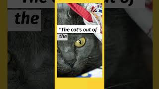 English Idioms #shorts #esl #esltips #idioms #learnenglish