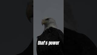 The Story of The Eagle | Motivational Video | #shorts #uploadyoutubeshorts #uploadshortsv