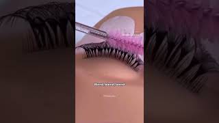 Lash Map Tips EPS 3 | Lila Lash Factory
