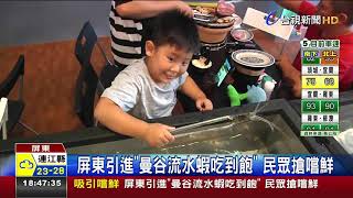 屏東引進曼谷流水蝦吃到飽民眾搶嚐鮮