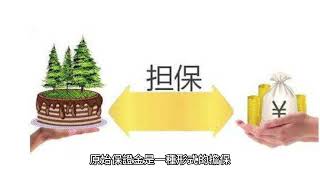 期貨專有名詞-原始保證金