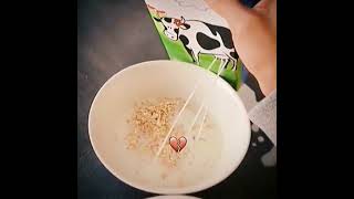 FUNNY VIDEOS OF ALL TIME  #everydaymeme #funnymeme