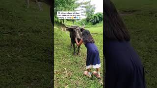 excited Kawkaw #petcare #jewelandkawkaw #animal