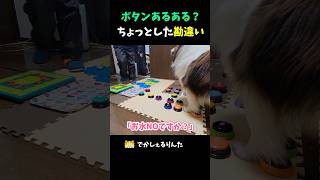 ボタンあるある？ちょっとした勘違い【会話ボタンでしゃべる犬】 #shorts #dog