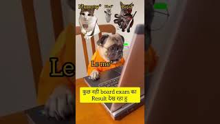 Dar lagraha!! || #cat #shorts #foryou #memes #catmemes #viralvideo