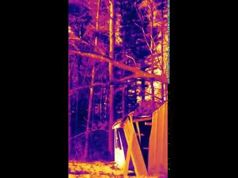 Oak Tree vs. Shed