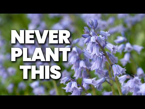 12 Plants You Should NEVER Grow in Your Garden