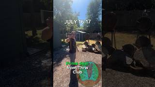 Prime deals for a great Axe! #thrwclub #prime #amazon #primeday #primedeals @thrwclub