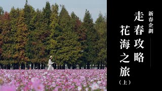 走春必去行程Ep1！帶你玩遍全台南花海！意外發現「韓劇鬼怪」夢幻場景｜花藝之旅｜花裡 FORi Flower