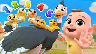 Five Little Ducks (Learn Bird Names) | Lalafun Nursery Rhymes & Kids Songs