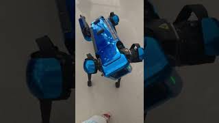 AI Robot Dog