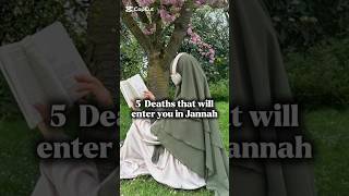 5 Deaths that will enter you in Jannah🏕✨️ #shorts #death #islam #jannah #muslim #1kcreator #short