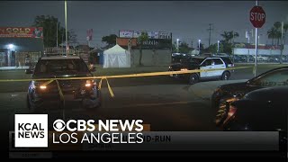 Suspect in deadly South LA hit-and-run is in custody