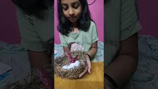 🐦 Bird 🕊️ nest 2025