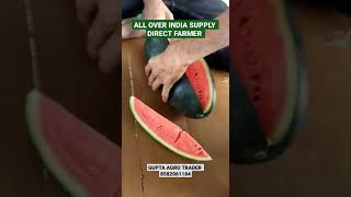#Watermelon #wholesale   #agro #fresh #export #knowledge #kidsvideo #kids #short  #business