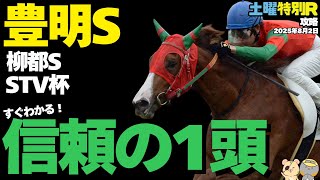 【土曜特別R注目穴馬まとめ】超過小評価、前走"不利"なお宝激走馬はコイツだ！ 【8月2日競馬予想2025】