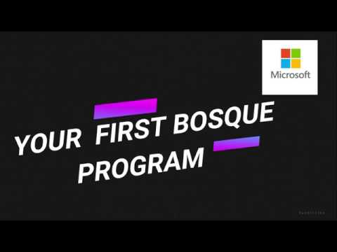 🔥Your First Program in Microsoft’s Bosque Language🔥🔥🔥