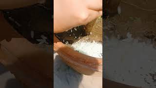 ফেলে দেওয়া ভাতই হবে আপনার গাছের জন্য বেস্ট ফার্টিলাইজার ❤️ #গাছেরপরিচর্যা #গাছেরযত্ন #ফার্টিলাইজার