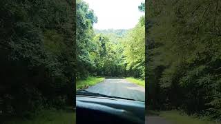 Country Side Roads #ceylon #srilanka #nature #dashcam #roaming #nostalgia #naturelovers