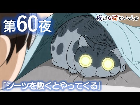 アニメ『夜は猫といっしょ』第60夜「シーツを敷くとやってくる」