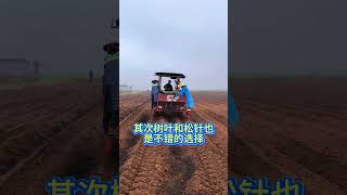 土壤板结发硬教您几个小配方轻松改良土质 #农业种植 #蔬菜种植 #土壤改良 #土壤板结的改良方法 #土壤板结怎么办