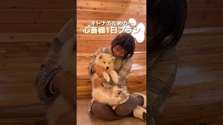 【大阪心斎橋】大人のための予算1日5000円心斎橋1日プラン！