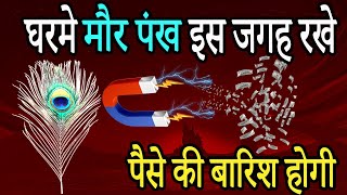 घरमे 3 मौर पंख इस जगह रखेदे, चमत्कार होगा | Vastu Tips Hindi  | Shastriya Hindi