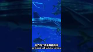 軍工產業科技：工業之母 GPS導航 美軍釋出，中國大陸 雄雄公開 海軍人造魚 優秀的概念...#軍工
