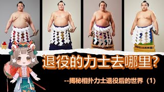 想成為親方？要有錢有實力還要有運氣！--揭祕相撲力士退役後的世界(1)