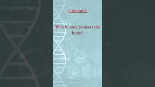 Medicine Question #1