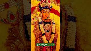 ஓம் முருகா 🙏🙏🙏#ommuruganthunai #ஓம்முருகாபோற்றி #devotional #முருகன்துணை #motivation #முருகாசரணம்