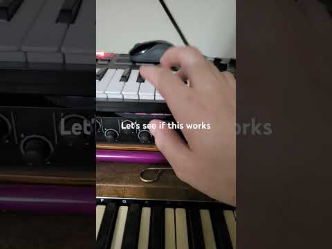 Using the Song of Healing on my dead mouse - 365 Video Challenge Jan 27th