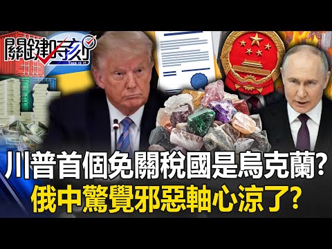 Trump's first "tariff-free country" is Ukraine! ?