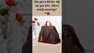 Pet Carrier Bag 🐾 Travel in Style, Rain or Shine #catlovers #doglovers #petcareprovider