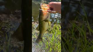 Yo sub #jesus #godfirst #fishing #bass #trending #fyp #mcyt #twitch #trending #viralvideo #popular