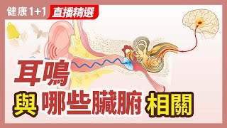 耳鳴與哪些臟腑相關 | 健康1+1 · 直播精選
