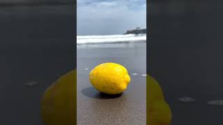 レモン🍋ちゃんも海水浴？大粒ちゃんで驚き！　#シニアライフ  #移住生活  #60歳代  #豊かな暮らし  #豊かな人生  #海水浴  #海好き