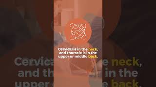 What is Corpectomy? |Medical Coding Made Simple 🧠💉