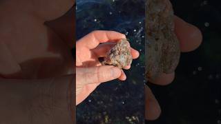 I found a Beautiful Red and Blue Agate by the River!! #agate #gemstone #treasure